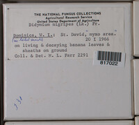 Image Associated With the Occurence